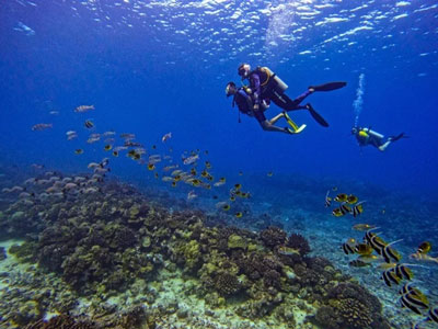 Formation de Plongée