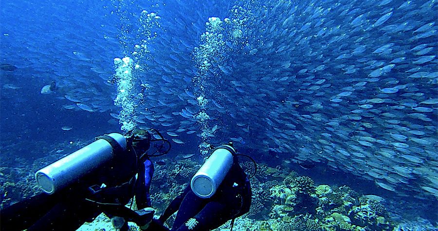 Initiation, Scuba diver & PE12